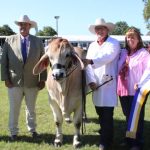 A new Australian Hereford yearling bull record has been set