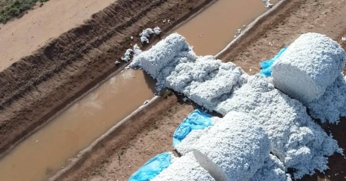 'Senseless' act of vandalism on cotton bales