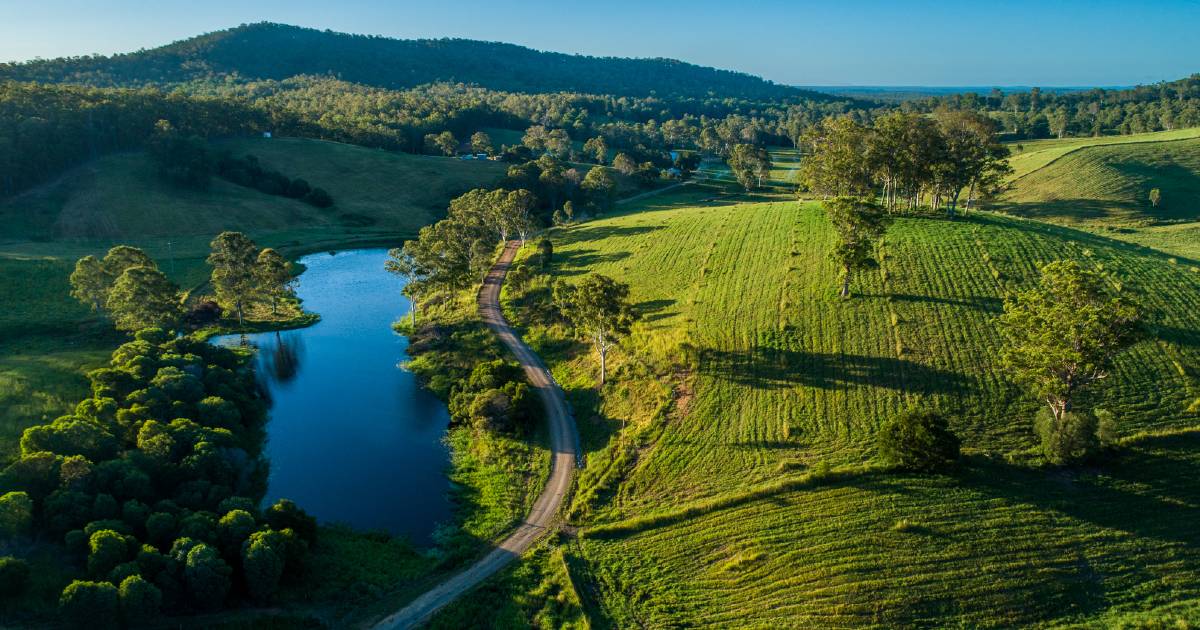 Negotiations continue on Gympie cattle country | Video