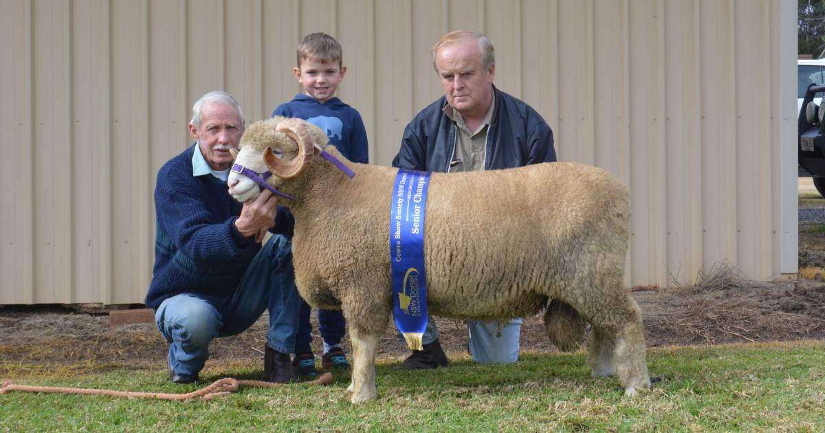 Dorset Horn win to Bendemeer breeder at NSW Dorset Championships