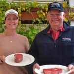 Self herding brings cattle onto new pasture in Queensland | Queensland Country Life