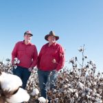 Childers cane growers full of confidence as harvest begins