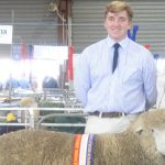 First-time NSW State Sheep Show entrants on top of Suffolk ring