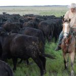 Entertainer in the heart of cattle country | Video