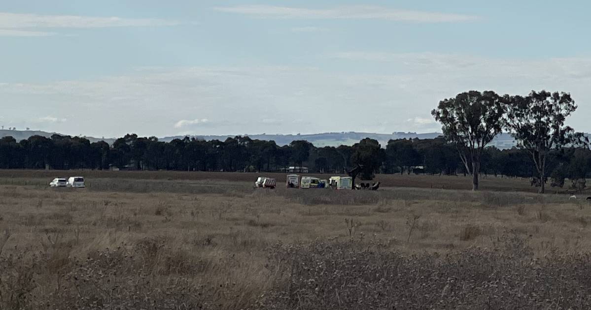 Man dies after being struck by falling tree on property south of Wagga