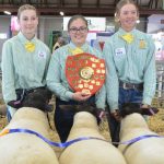 Jaccondal Charolais steers top Barcaldine Show cattle sale | Queensland Country Life