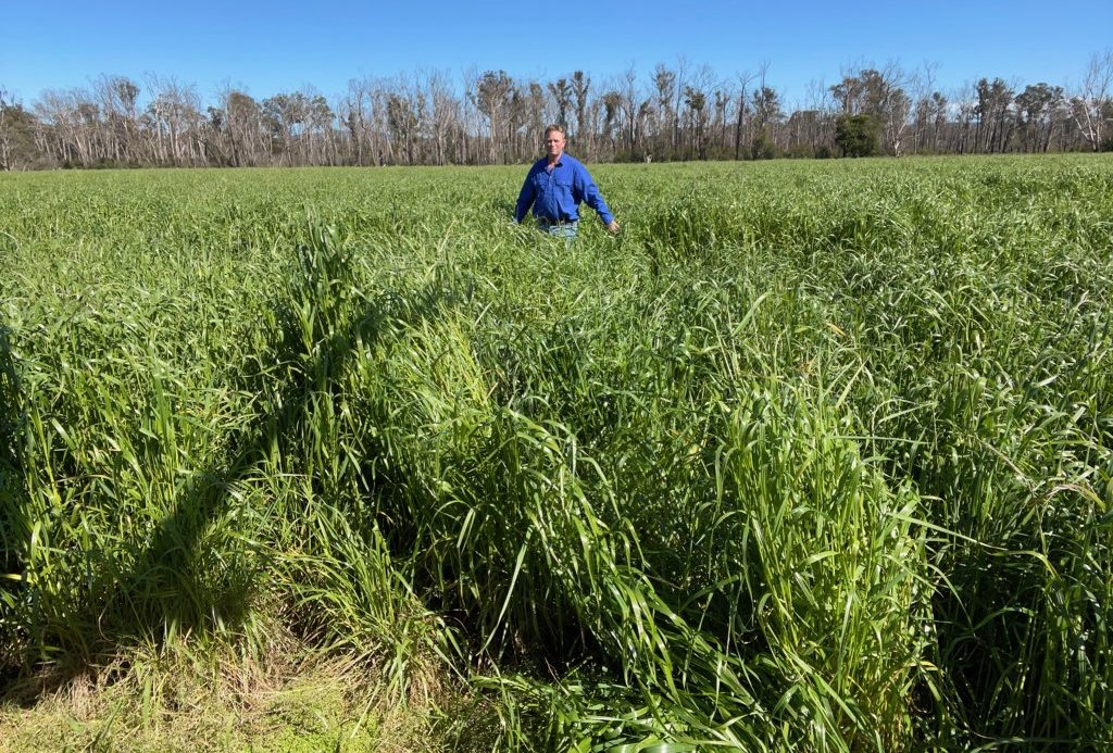 Grassland Society returns to in-person conference in 2022