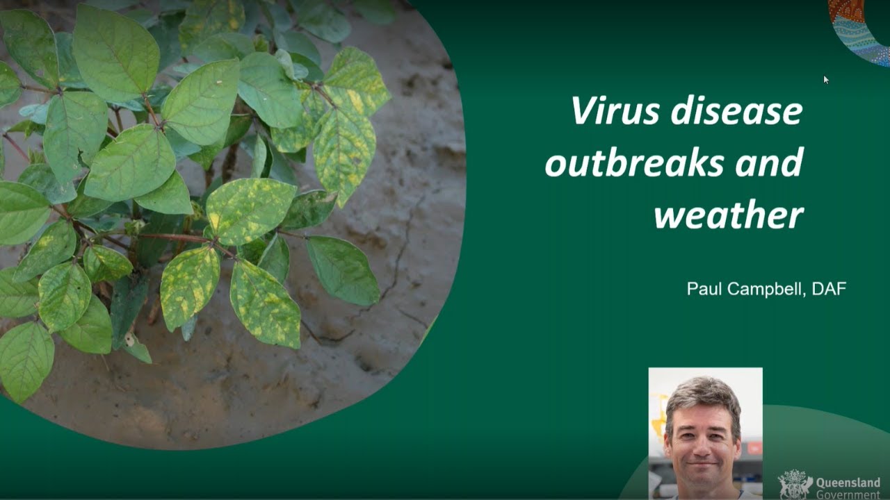 Virus disease outbreaks and weather