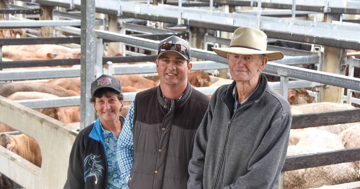 Steers reach 680c during wet weaner sale at CQLX