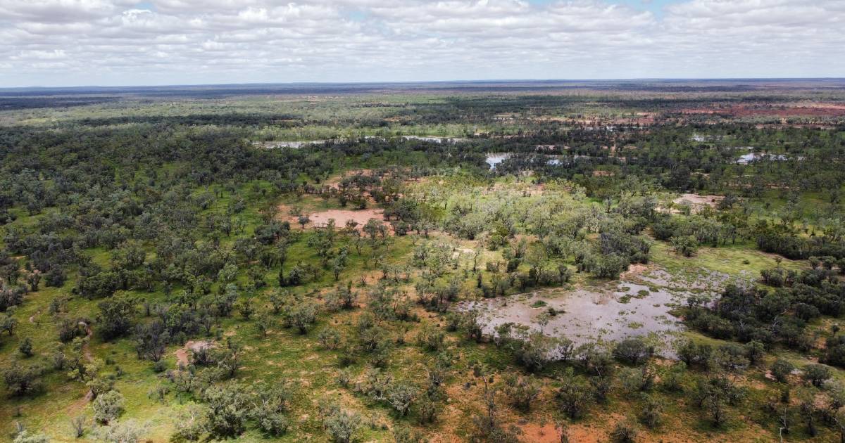 South West Queensland property sold under the hammer