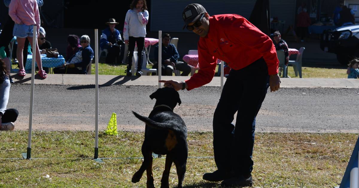 Be wary of managing disease with your pets: Opinion