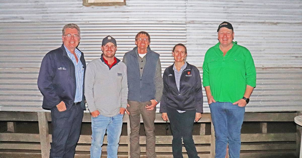 Moojepin Merinos, Katanning, hosts field day on ewe lambs | Farm Weekly