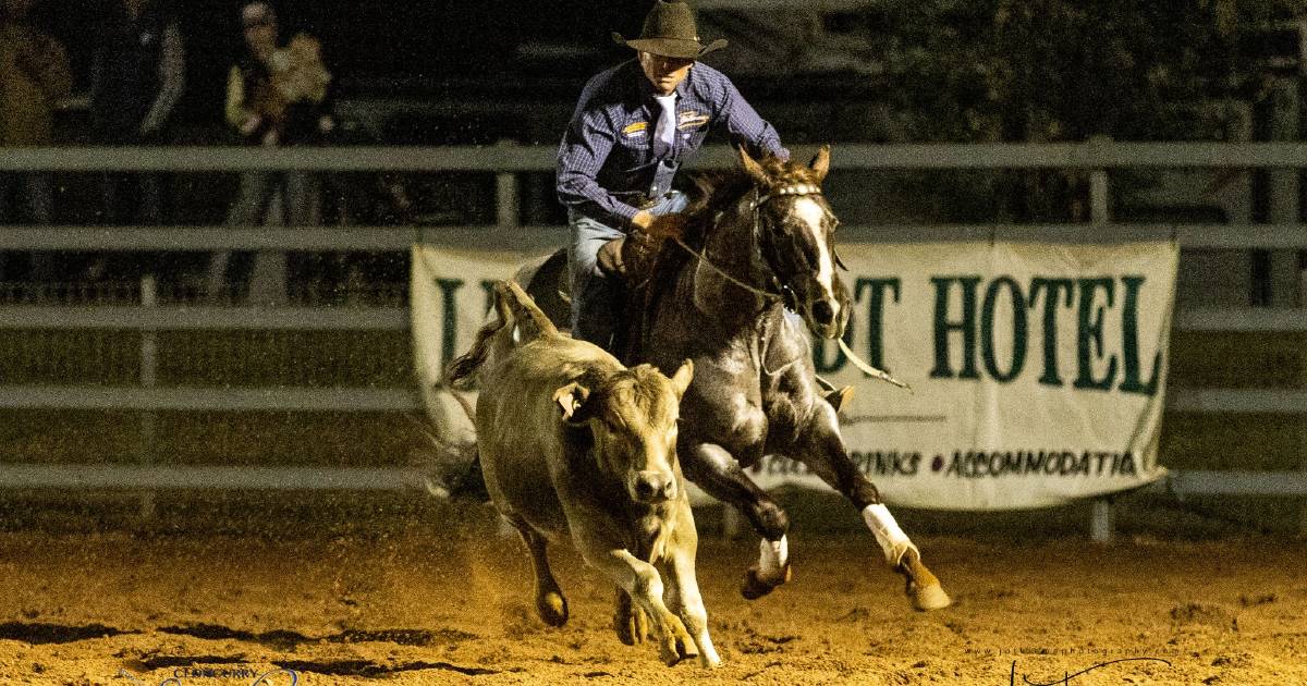 Best of the best compete at Cloncurry Stockman's Challenge and Campdraft