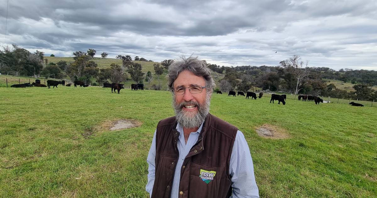 Mitchell Clapham and Xavier Martin put their hands up for NSW Farmers president role | The Land