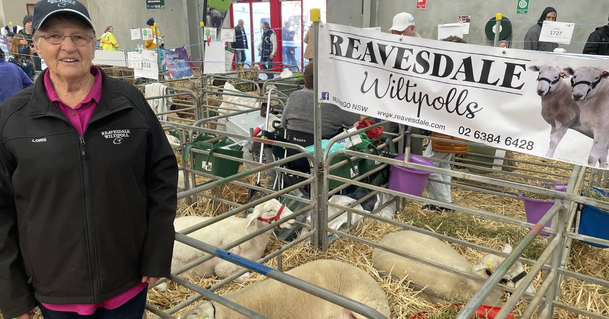 FMD control foremost in the mind of Young district sheep breeder | The Land