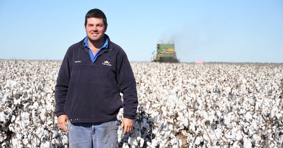 Soggy season for St George cotton growers