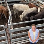 Red Brangus weaner steers 196kg make 644c/$1263 at Gracemere | North Queensland Register