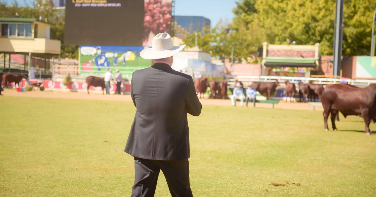 Judges and entry numbers settled for Ekka stud beef competition