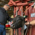 Stand-alone solar power system saves grazier from rising electricity costs | Queensland Country Life