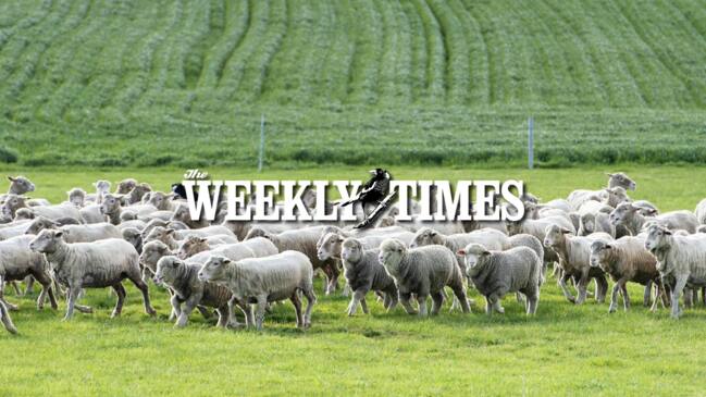 The Weekly Times: Challenges and Opportunities for Australia’s Sheep Industry