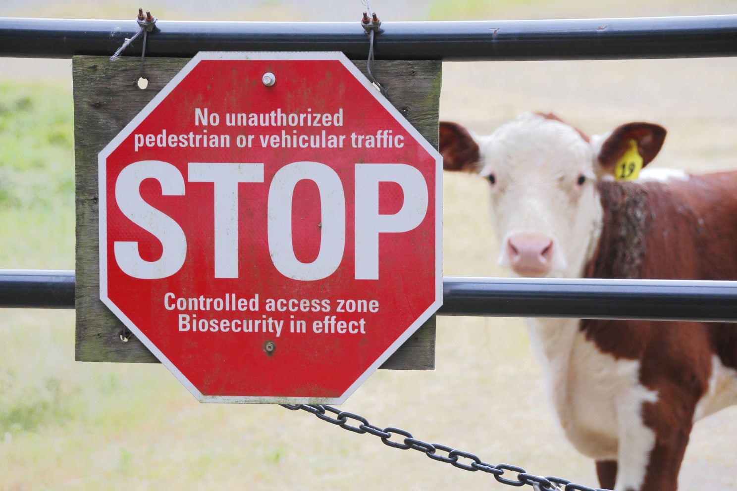 Senate inquiry launched into biosecurity measures