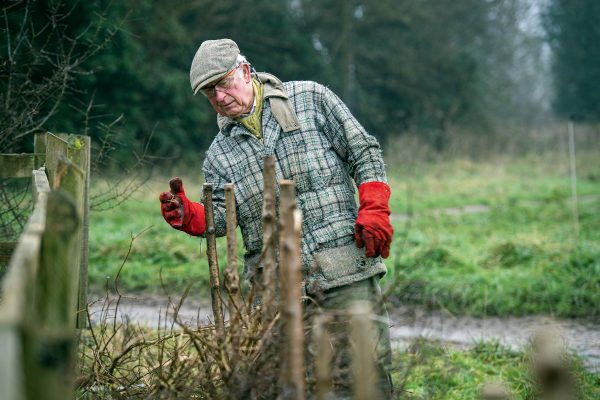 The Duchess of Cornwall’s country champions, from a bee master and an equine therapist to The Prince of Wales and Jeremy Clarkson