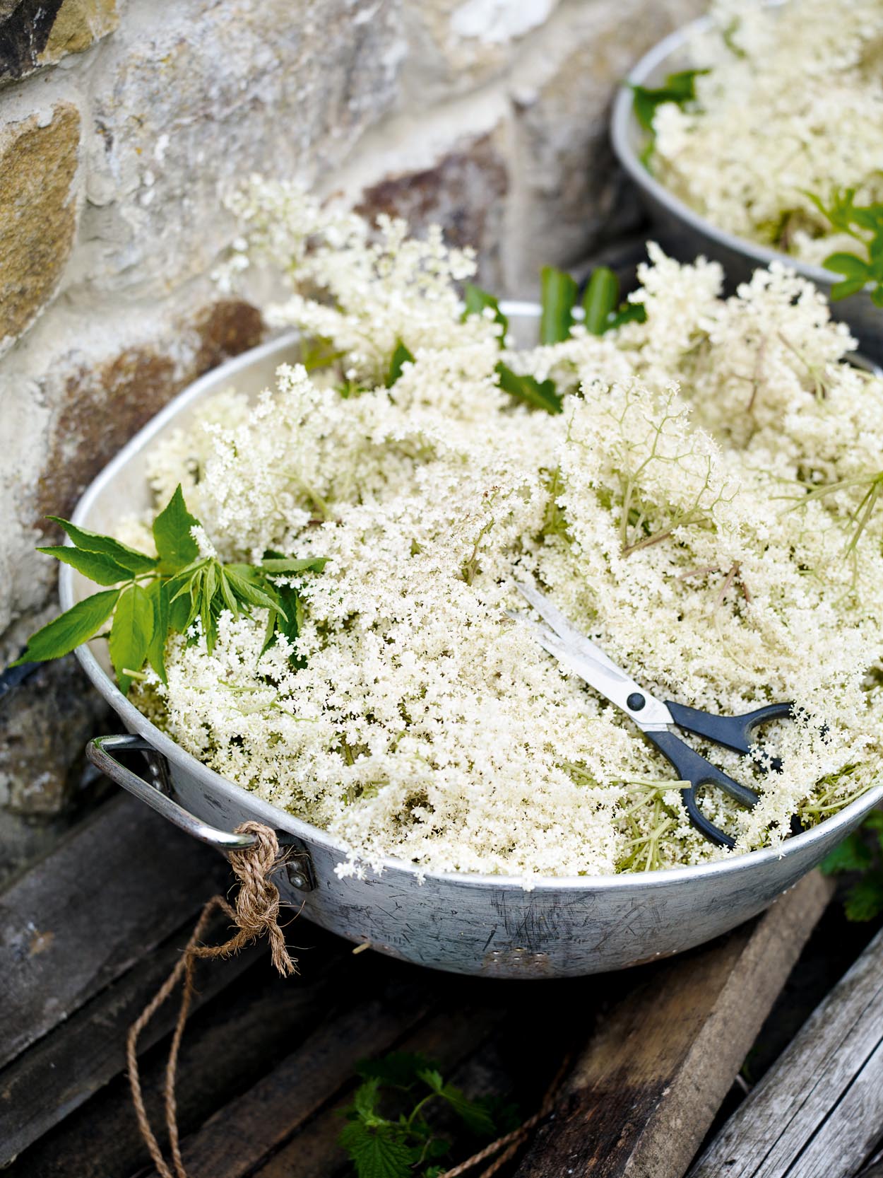 Making the ultimate elderflower jam in a bucolic place that ‘is everything the English countryside should be’