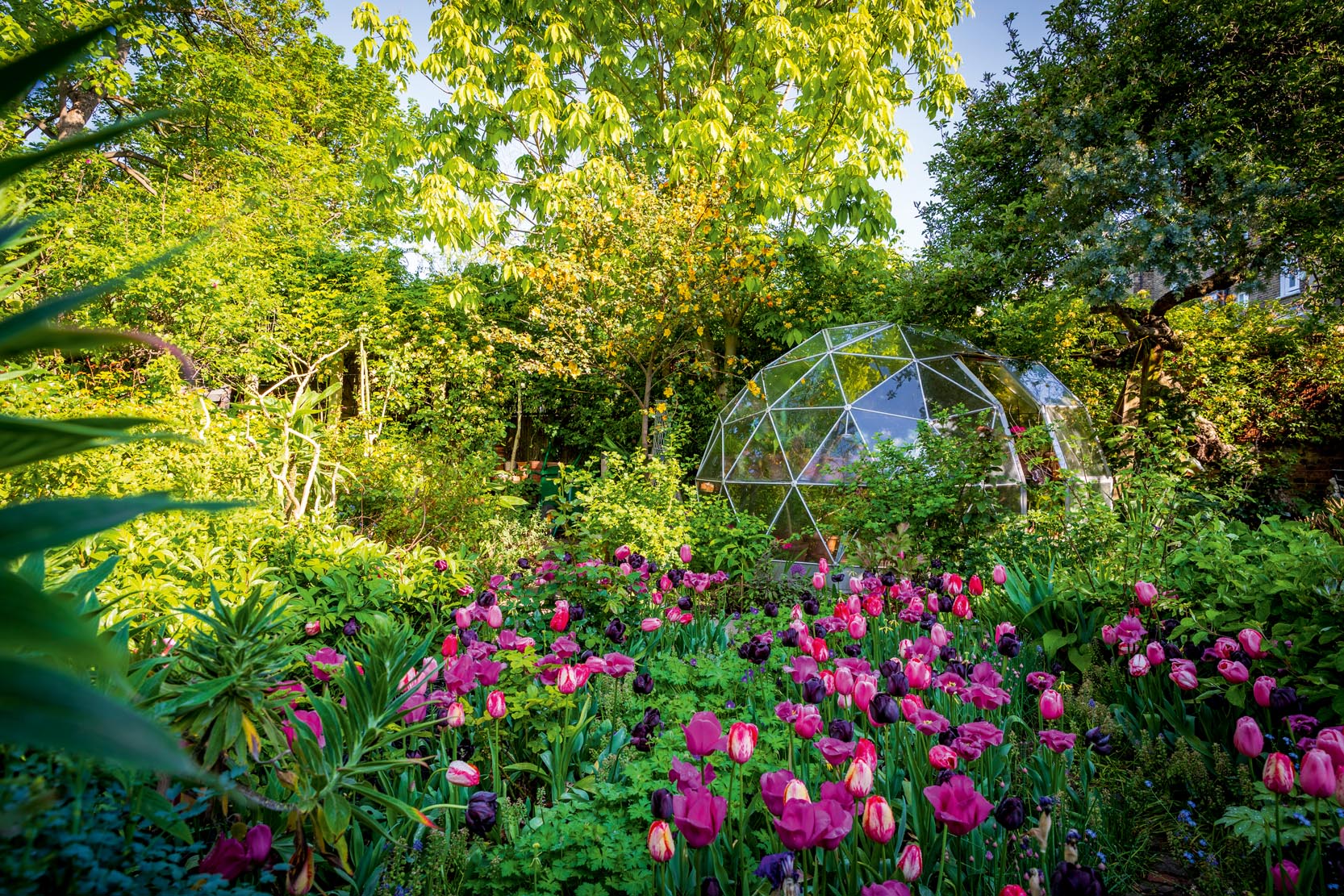 Seven of the best greenhouses in Britain