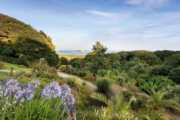 The exotic brilliance of Tremenheere Sculpture Gardens, a Cornwall gem with ‘one of the best views in England’