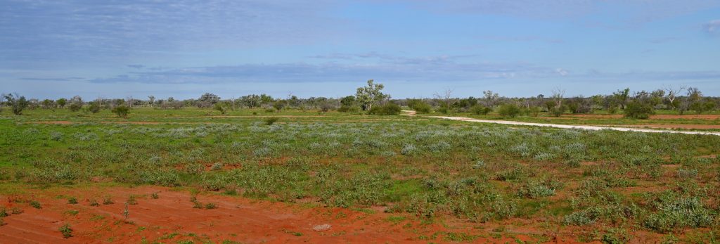 Grazing properties recently passed-in – Beef Central