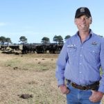 Wet weather hurting crops and livestock