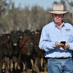 Former UN chief scientist says cattle are “instrumental” to managing climate