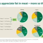 Feedgrain Focus: Wet weather hits market confidence