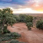 Devastating US drought has strong implications for Australian beef industry + VIDEO