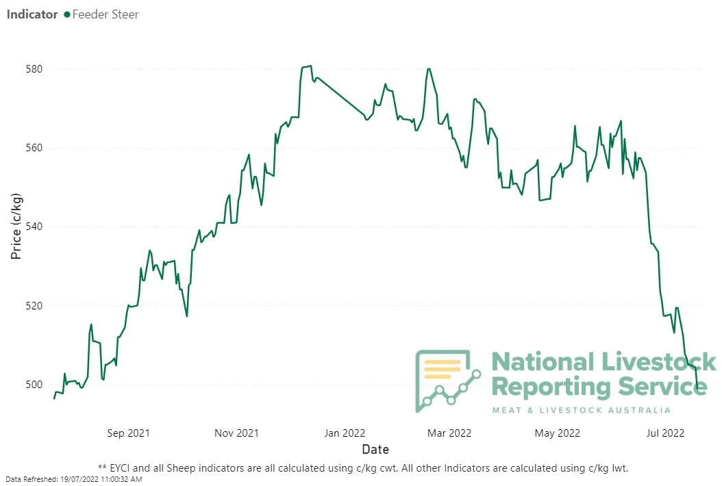 Feeder steer prices continue rapid deterioration