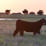 Farm Progress America, July 1, 2022