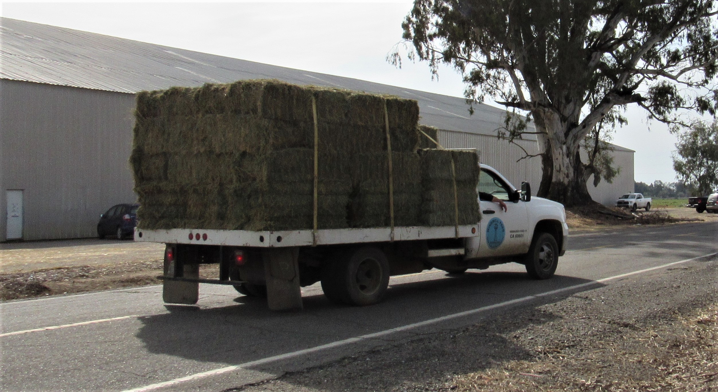 The importance of testing hay quality