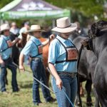 Apply ‘Apple thinking’ to genetic selection, ICMJ conference students told