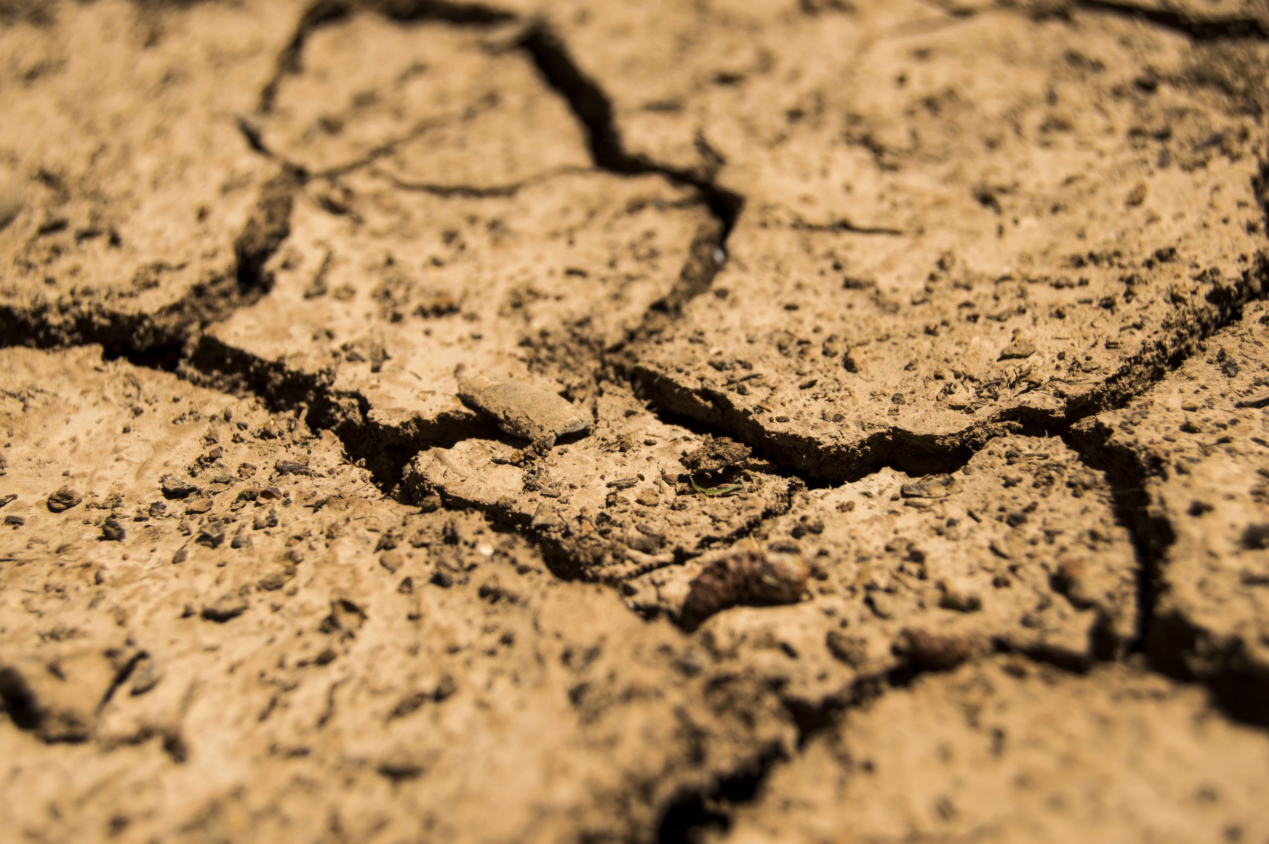 Drought streak marches toward two years