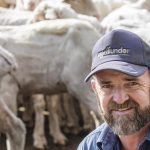 Best of the best compete at Cloncurry Stockman's Challenge and Campdraft