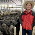 Long-awaited Warwick saleyards upgrade nearly a reality