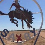 Qld wheat researcher wins international Borlaug award