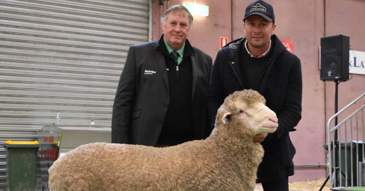 $15,000 East Mundalla ram, sells to Glenpaen stud, Brimpaen, Victoria | Farm Weekly