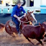 Australia's junior polocrosse team claim test series victory against NZ