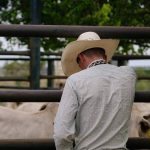 Faces at Ilfracombe’s phantom race meeting | Queensland Country Life