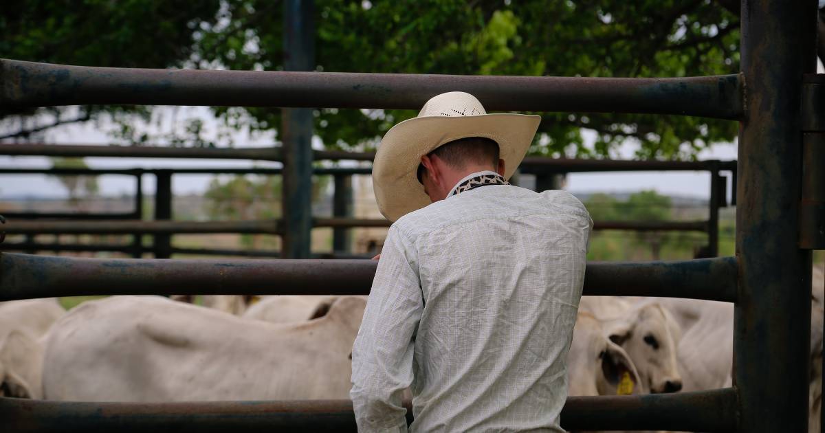 Alarming number of melanoma cases detected in Central Qld