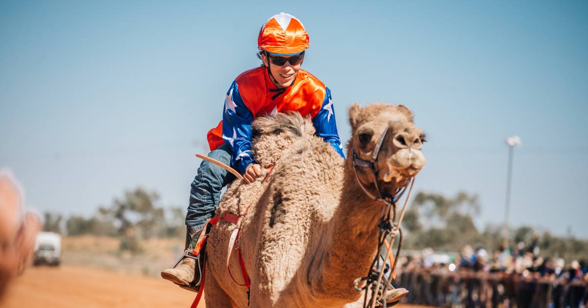 The Melbourne Cup of camel racing kicks off at Boulia | North Queensland Register