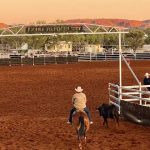 Charbray steers sell for $1795 at Laidley | Queensland Country Life