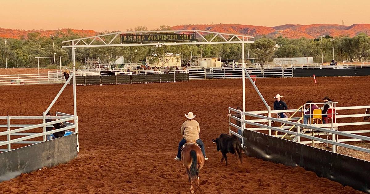 Towers competitor claims Mount Isa campdraft hat trick