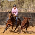 Hereford steers top Tamworth store sale at $2000 | The Land